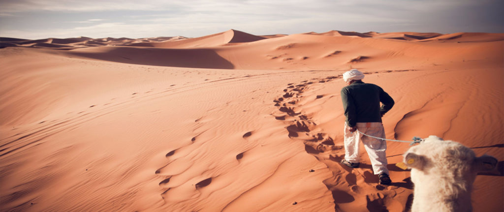 cholistan desert