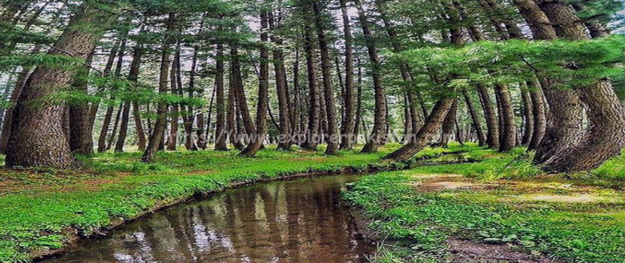 Crooked Woods Explore Pakistan