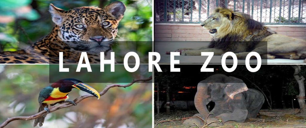 Lahore Zoo