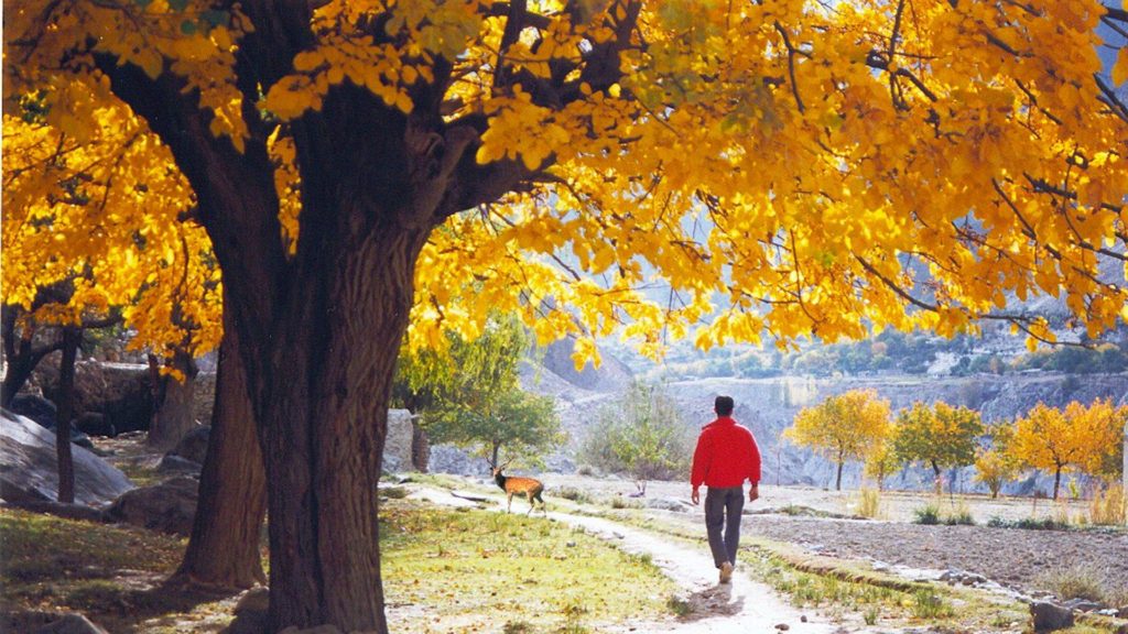 Nagar Valley