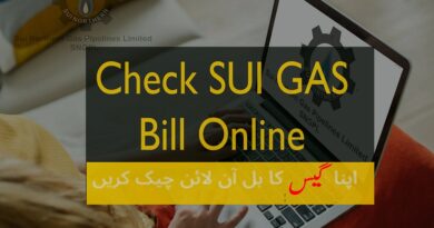 sngpl - check sui gas bill online