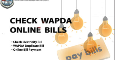 WAPDA bill online check