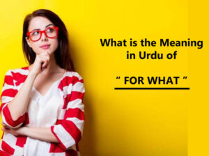 representation meaning in urdu
