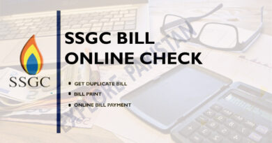 ssgc bill